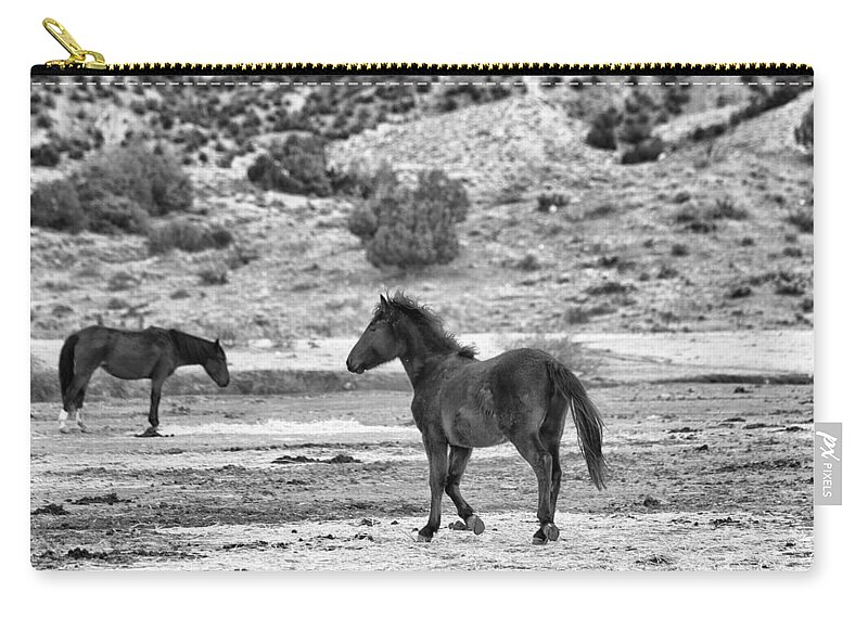 Virginia Range Mustangs Zip Pouch featuring the photograph Virginia Range Mustangs #2 by Maria Jansson