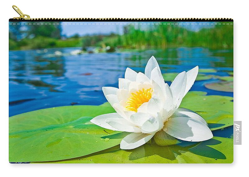 Water Lily Zip Pouch featuring the photograph Water Lily #2 by Mariel Mcmeeking