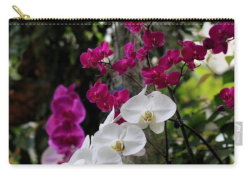  Zip Pouch featuring the photograph White Phalaenopsis Orchids #2 by Angela Rath