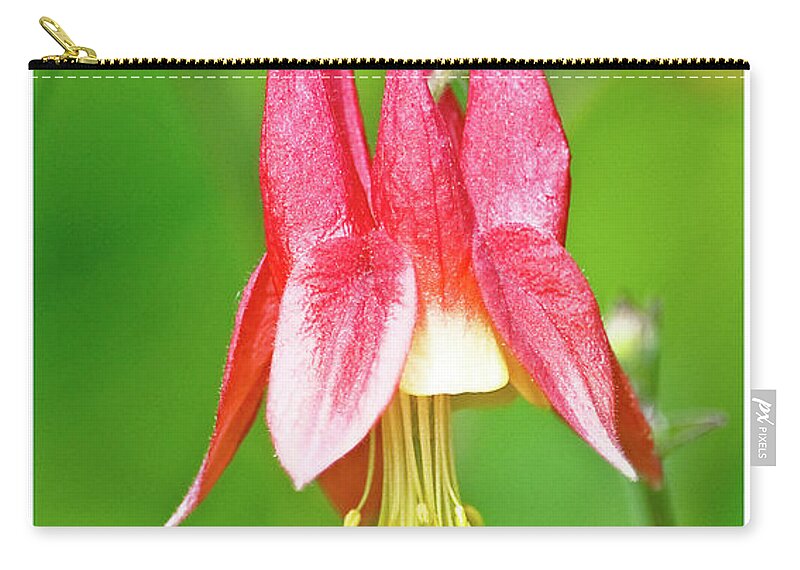 Wildflower Zip Pouch featuring the photograph Wild Columbine Flower #2 by A Macarthur Gurmankin