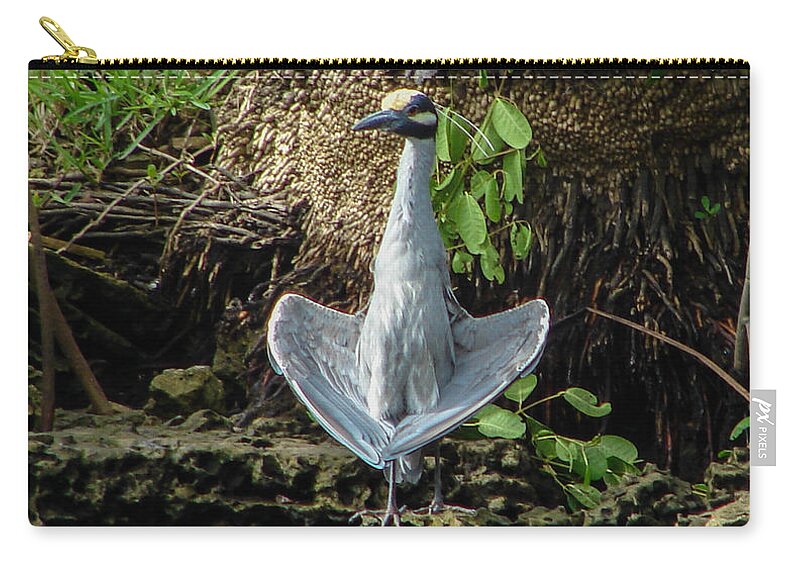 Bird Zip Pouch featuring the photograph Yellow-crowned Night Heron by Carl Moore