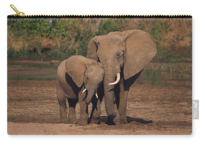 Elephant Zip Pouch featuring the photograph Elephant #20 by Mariel Mcmeeking