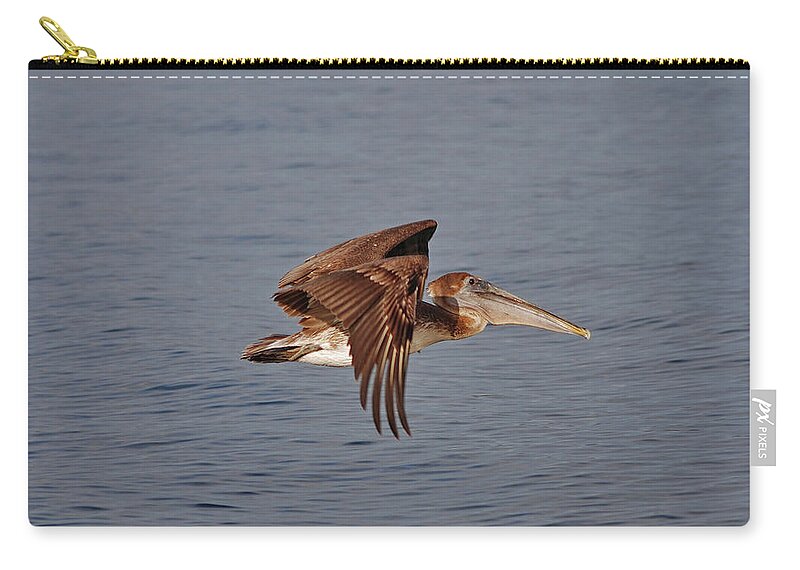 Pelican Flying Zip Pouch featuring the photograph 20- Pelican by Joseph Keane