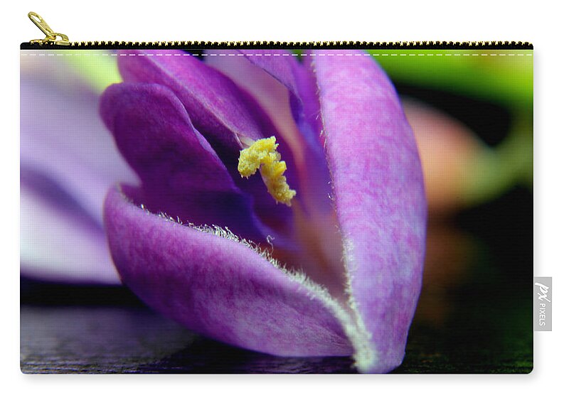 Nature Zip Pouch featuring the pyrography 2010 Wisteria Blossom Up Close 19 by Robert Morin