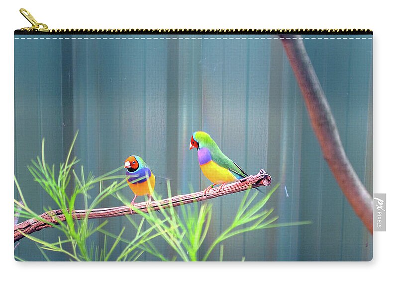 Lovebirds Zip Pouch featuring the photograph Aussie Rainbow Lovebirds by Kathy Corday
