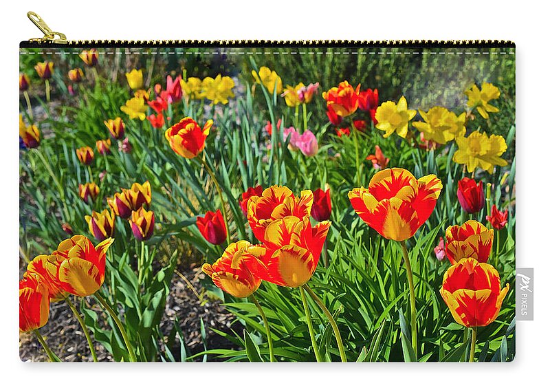 Tulips Zip Pouch featuring the photograph 2015 Acewood Tulips 1 by Janis Senungetuk