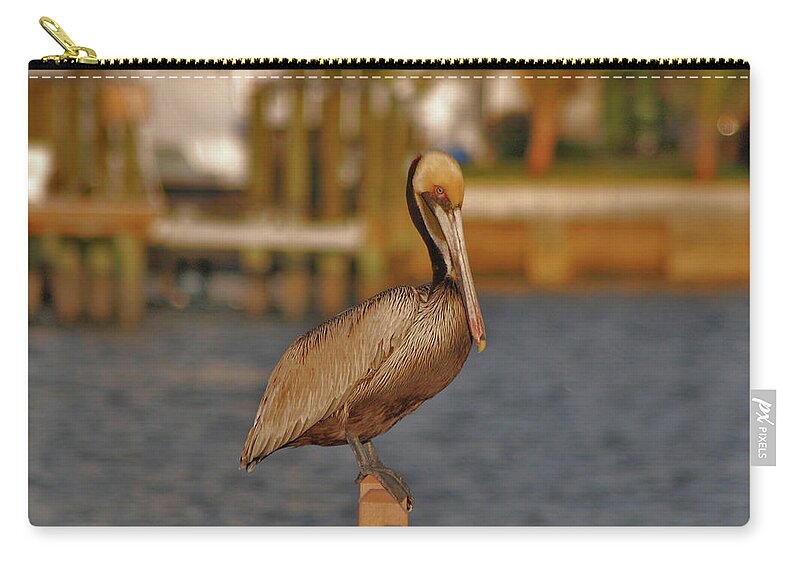 Pelican Zip Pouch featuring the photograph 21- Pelican by Joseph Keane