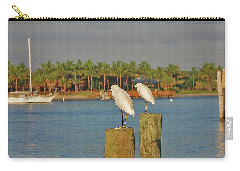 Snowy Egrets Zip Pouch featuring the photograph 23- Decisions by Joseph Keane