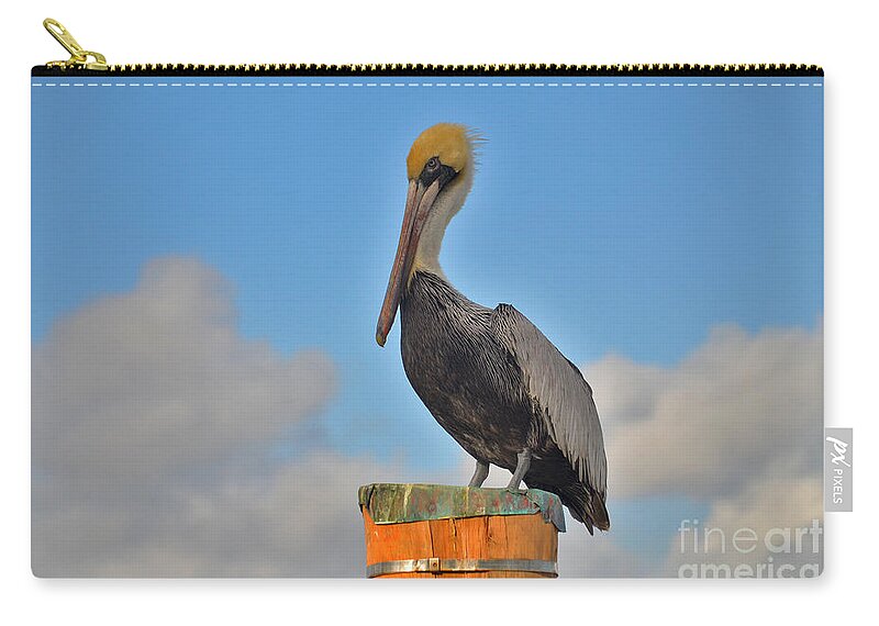 Pelican Zip Pouch featuring the photograph 24- Pelican by Joseph Keane