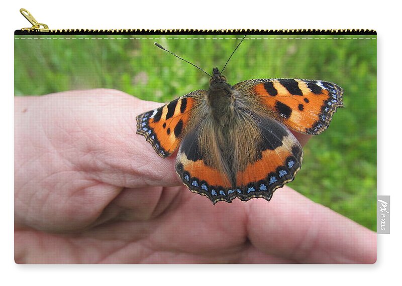 Butterfly Zip Pouch featuring the photograph Butterfly #25 by Jackie Russo