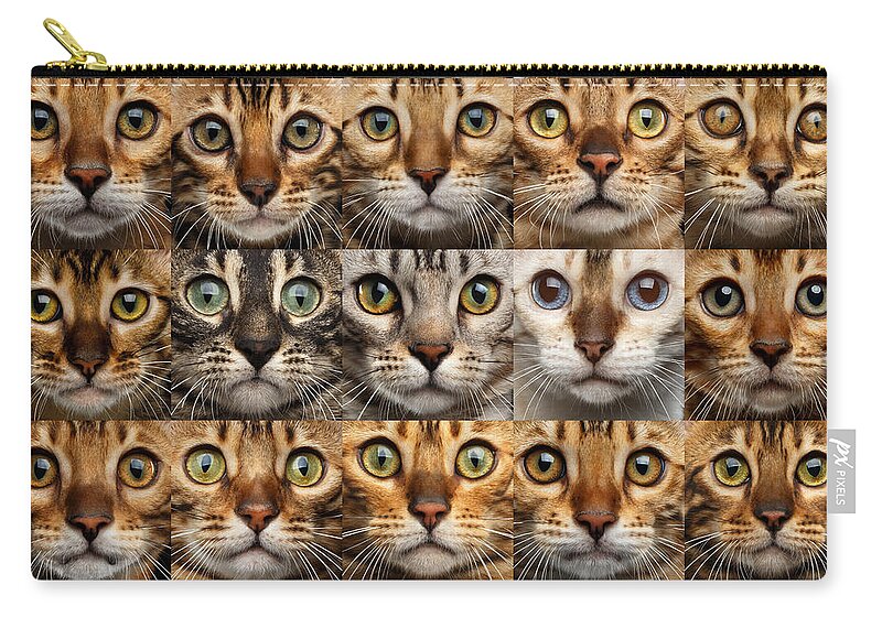 25 Zip Pouch featuring the photograph 25 Different Bengal Cat faces by Sergey Taran
