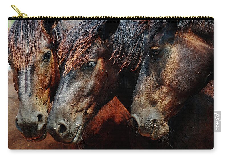 Horse Zip Pouch featuring the photograph Horse #28 by Jackie Russo