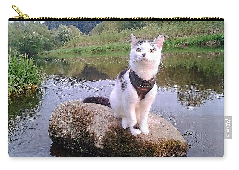 Cat Zip Pouch featuring the photograph Cat #299 by Jackie Russo