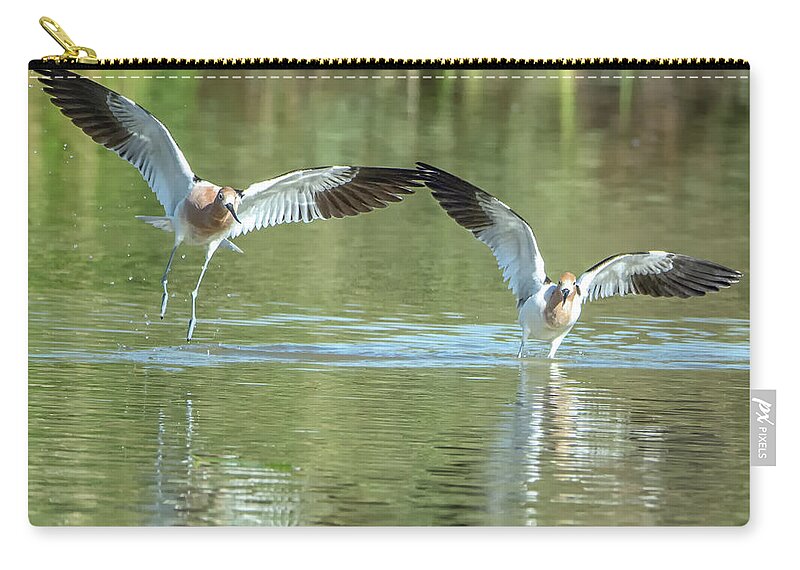 American Zip Pouch featuring the photograph American Avocets #5 by Tam Ryan