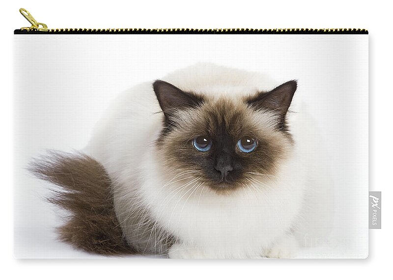 Cat Carry-all Pouch featuring the photograph Birman Cat by Jean-Michel Labat
