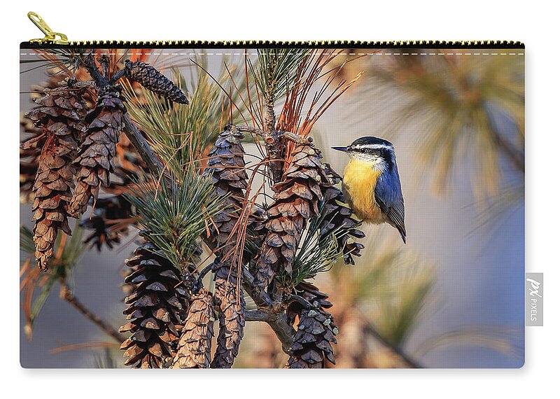Adorable Carry-all Pouch featuring the photograph Black-capped Chickadee by Peter Lakomy