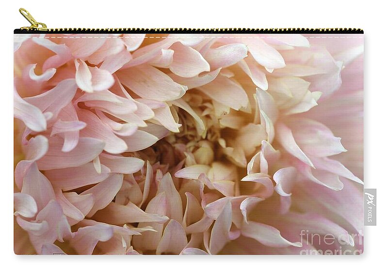 Mccombie Zip Pouch featuring the photograph Dahlia named Nadia Ruth #4 by J McCombie