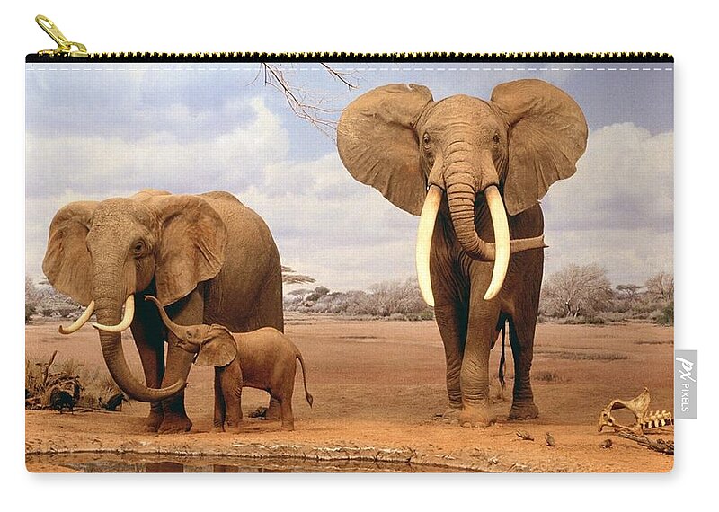 Elephant Zip Pouch featuring the photograph Elephant #3 by Jackie Russo