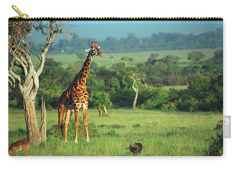 Giraffe Carry-all Pouch featuring the photograph Giraffe by Sebastian Musial