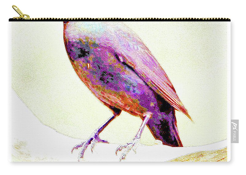 Great-tailed Grackle Zip Pouch featuring the photograph Great-tailed Grackle #3 by A Macarthur Gurmankin