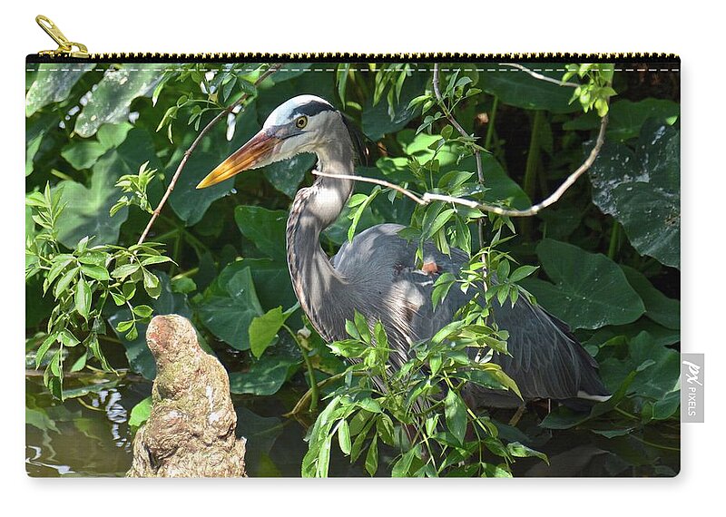 Heron Zip Pouch featuring the photograph Hiding Heron #3 by Carol Bradley