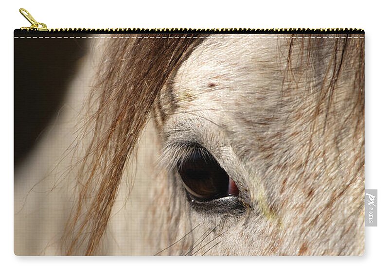 Horse Zip Pouch featuring the photograph Horse portrait by Ian Middleton