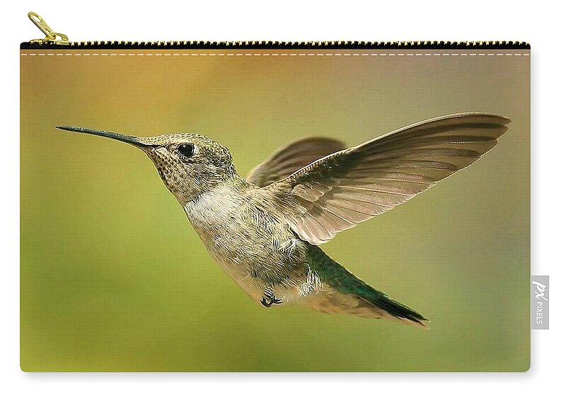 Hummingbird Zip Pouch featuring the photograph Hummingbird #3 by Jackie Russo