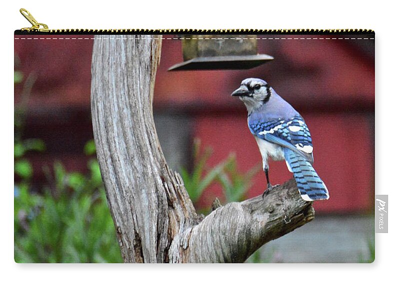 Backyard Zip Pouch featuring the photograph I See You #3 by Carol Bradley