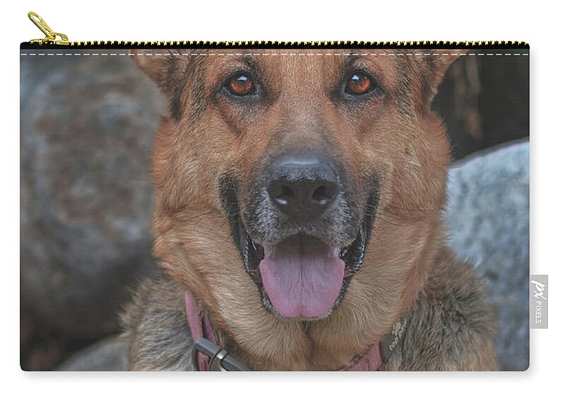 Animal Zip Pouch featuring the photograph Liesl #3 by Brian Cross