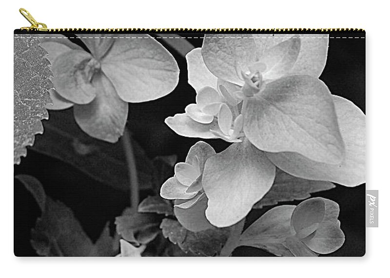 Black And White Photographs Zip Pouch featuring the digital art Magnolia Plantation and Gardens Collection #3 by DigiArt Diaries by Vicky B Fuller