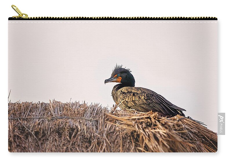 Aqua Zip Pouch featuring the photograph Pelican #3 by Peter Lakomy