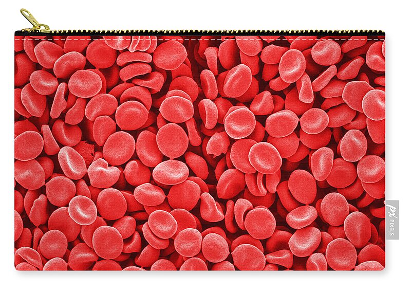 Red Blood Cells Carry-all Pouch featuring the photograph Red Blood Cells, Sem by Scimat