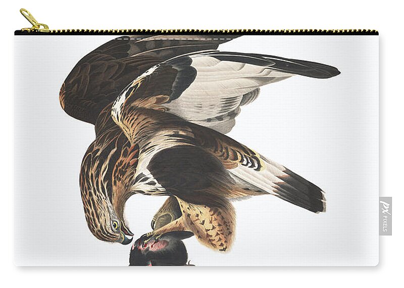 Rough-legged Falcon Zip Pouch featuring the painting Rough-legged Falcon #3 by John James Audubon