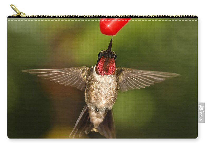 Ruby-throated Hummingbird Zip Pouch featuring the photograph Ruby-Throated Hummingbird #3 by Robert L Jackson