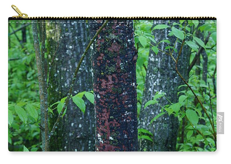 Trees Zip Pouch featuring the photograph 3 Trees by Jo Smoley
