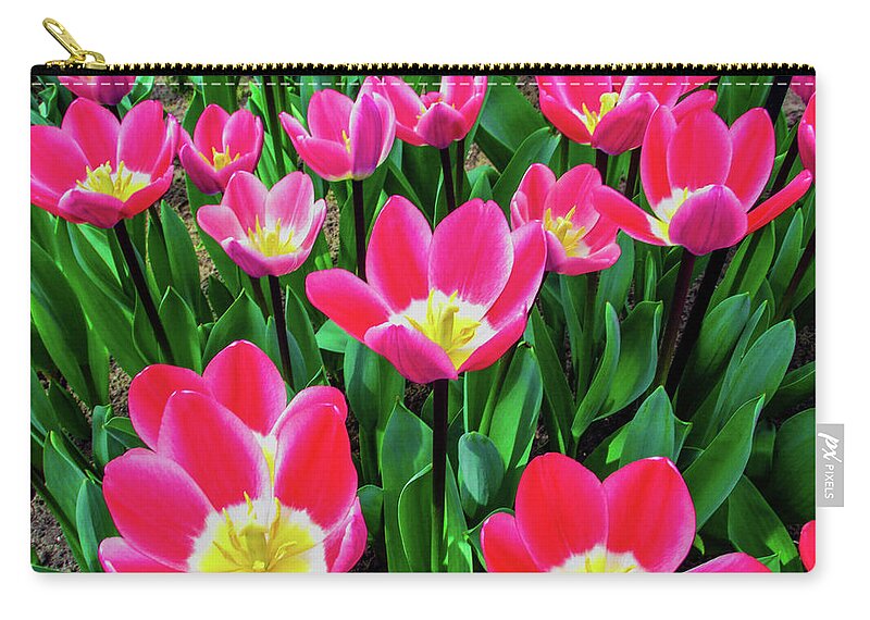 Tulips Zip Pouch featuring the photograph Tulips Garden #3 by Cesar Vieira