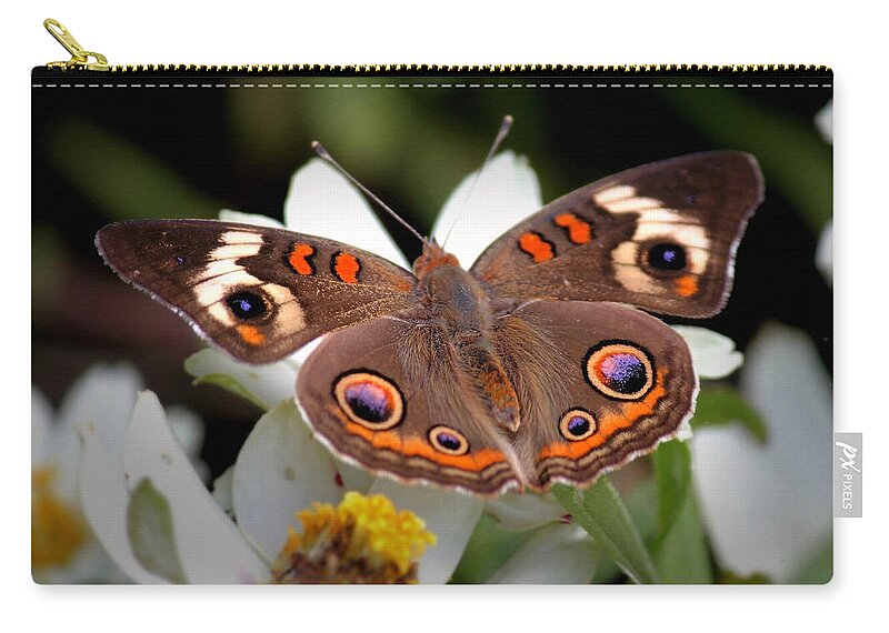 Butterfly Zip Pouch featuring the photograph Butterfly #30 by Jackie Russo