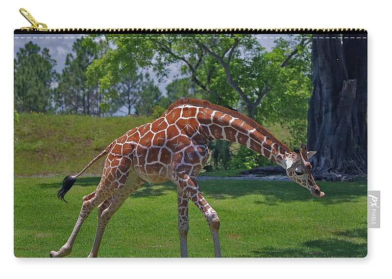 Wildlife Zip Pouch featuring the photograph 32- Junior by Joseph Keane