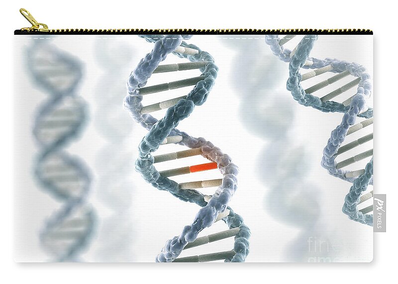 Digitally Generated Image Zip Pouch featuring the photograph Dna Structure #35 by Science Picture Co