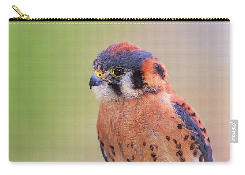 Animal Zip Pouch featuring the photograph American Kestrel #4 by Brian Cross