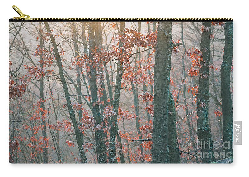 Landscape Zip Pouch featuring the photograph Autumn forest #4 by Jelena Jovanovic