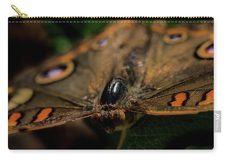Jay Stockhaus Zip Pouch featuring the photograph Butterfly #4 by Jay Stockhaus