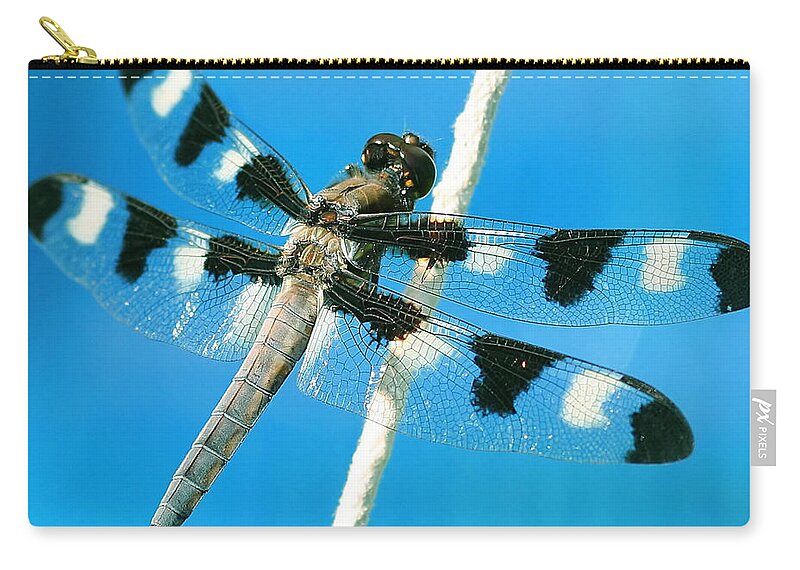 Dragonfly Zip Pouch featuring the photograph Dragonfly #4 by Jackie Russo