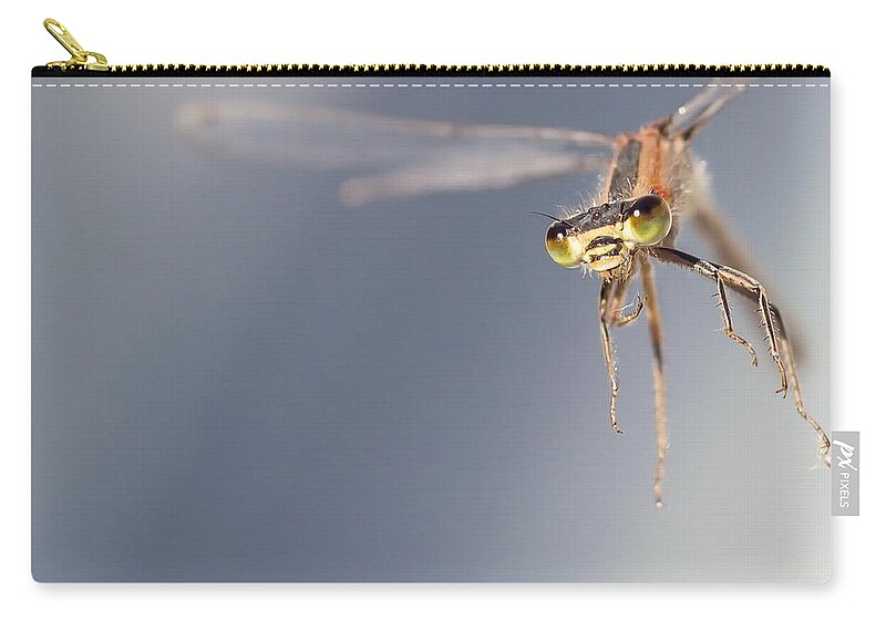 Dragonfly Zip Pouch featuring the digital art Dragonfly #4 by Maye Loeser