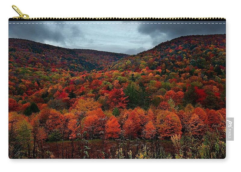 Forest Zip Pouch featuring the photograph Forest #4 by Mariel Mcmeeking