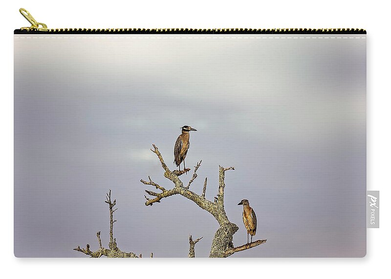Animal Zip Pouch featuring the photograph Green Heron by Peter Lakomy