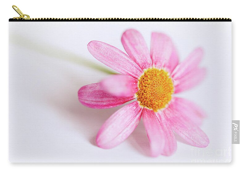 Pink Zip Pouch featuring the photograph Pink Aster flower #4 by Nick Biemans