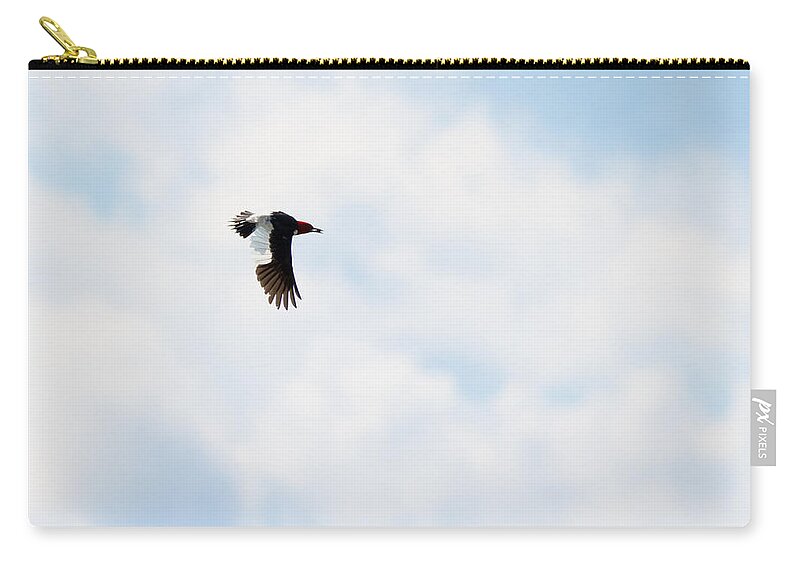 Red-headed Woodpecker Carry-all Pouch featuring the photograph Red-Headed Woodpecker by Holden The Moment