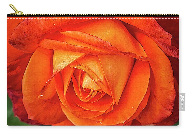 Nature Zip Pouch featuring the photograph Rose Beauty #4 by Shirley Mitchell