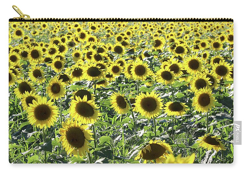 Sunflower Zip Pouch featuring the photograph Sunflowers Mattituck New York #4 by Bob Savage